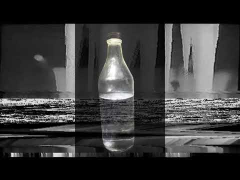 Läski Salonen - Elä Tolloillen