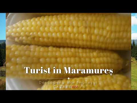 Revelion Maramures Cu Vouchere, Hotel Europa Baia Mare Contact, Pensiuni Agroturistice In Maramures