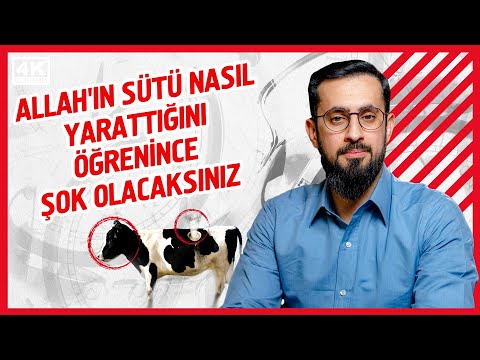 , title : 'Allah'ın Sütü Nasıl Yarattığını Öğrenince Şok Olacaksınız | Mehmet Yıldız'