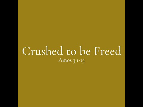 Crushed to be Freed | Amos 3:1-15