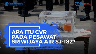 Apa Itu CVR pada Kotak Hitam Pesawat Sriwijaya Air SJ 182