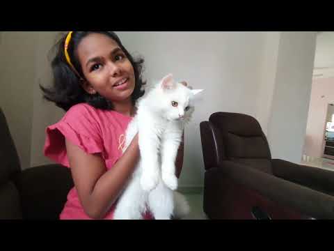 Zuzu with Iffah MG 110922