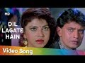 Dil Lagate Hain Ghar Jamai 1992 Mithun Chakraborty Varsha Usgaonkar Sadhana Sargam