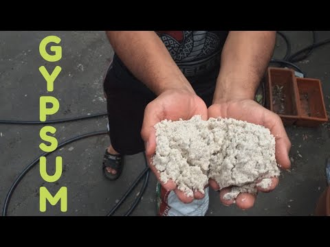 Gypsum: Your Good Friend in the Garden