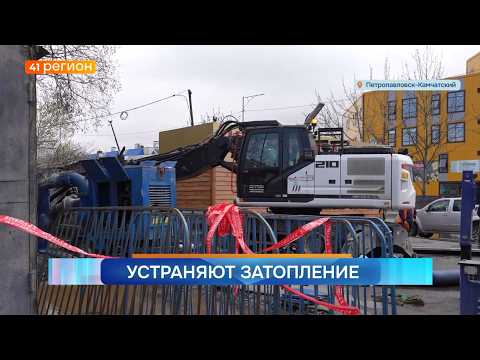 Новости Камчатки за 29 мая 2026 года