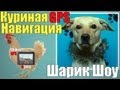 Шарик Шоу - Куриная GPS навигация (выпуск 25) 