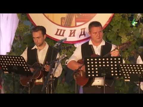 VASILJOVA TEMA - Narodni orkester "Julijan Ramač Čamo"