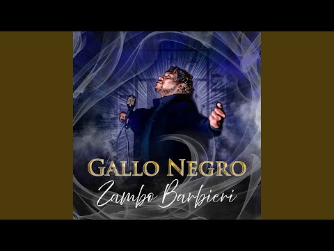 Gallo Negro