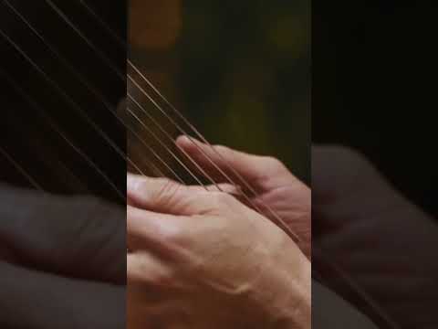 ANTIGUA - Live at Sugarshack out everywhere now 🙌🏽