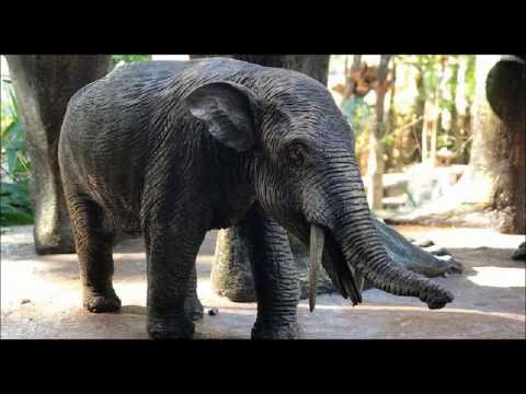 Le premier crâne d'un mastodonte découvert dans les Pyrénées