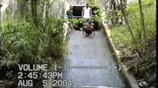 preview picture of video 'Pinalito:Rio Baigueque 2004'