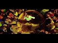 Dhanush Pull Pesum Poo Pesum Whatsapp Status Dhanush Whatsapp Status Tamil Pudhupettai Songs