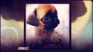 Just For Girls - Just Because of You!