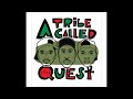 A Tribe Called Quest 06 15 1996 San Francisco CA USA Live GG Park