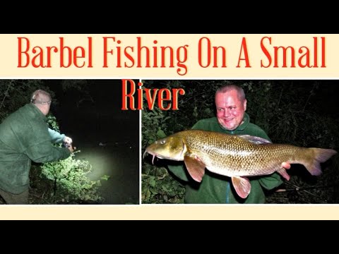 Small River Fishing - Summer Barbel Fishing (Video 261)