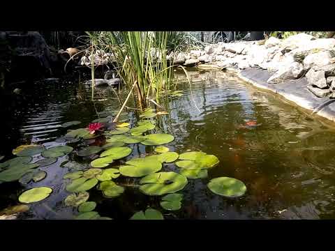 Pensiunea Ana Cristina Sighisoara