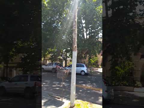 #buenosaires #house #street #recorrido #people #lomasdezamora #sun #travel #argentina #casas #car