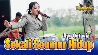Download lagu SEKALI SEUMUR HIDUP Ayu Octavia OM NIRWANA COMEBAC... mp3