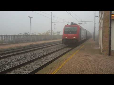 TRENO MERCI  CARGO 484 019 -SAN BIAGIO DI CALLALTA