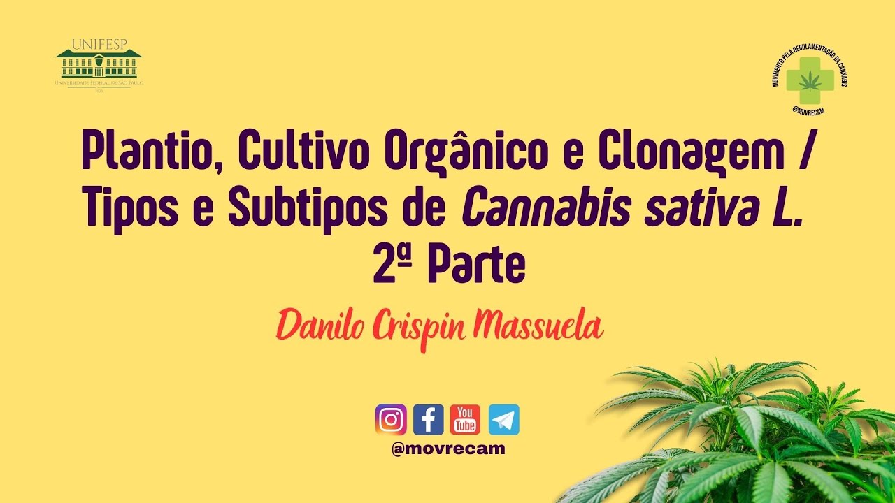 25ª aula - Plantio, Cultivo Orgânico e Clonagem da Cannabis sativa L. - 2ª Parte - Danilo Massuela