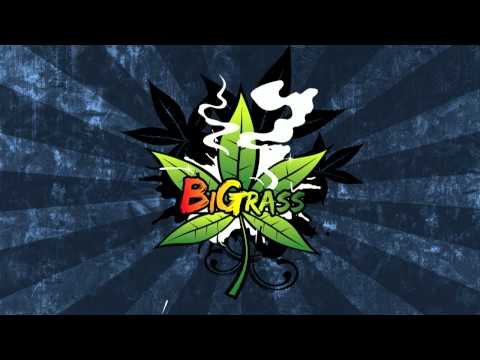 BiGrass & Stiff - Manipulacje ft. R.A.T.