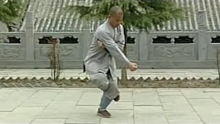 Shaolin small Buddha kung fu (luohan quan)