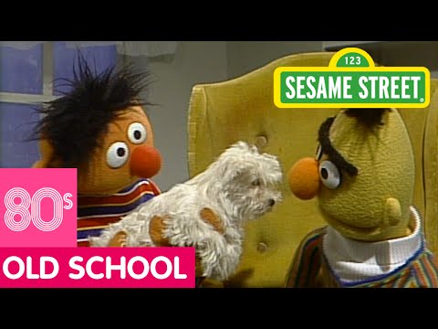 Sesame Street: Ernie Surprises Bert with a Puppy