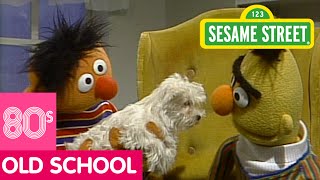 Sesame Street: Ernie Surprises Bert with a Puppy