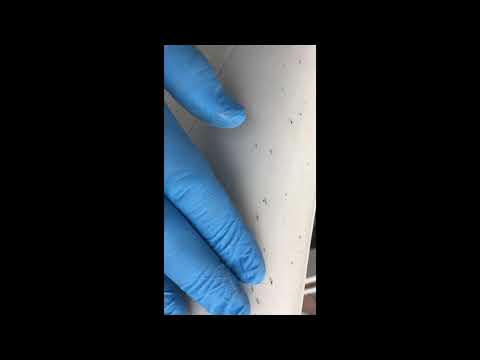 DIY SEM Vinyl Paint