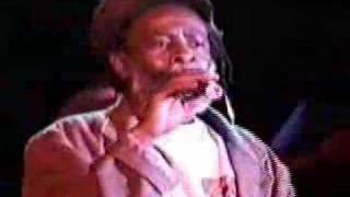 Burning Spear at the Grassroots Festival 1996