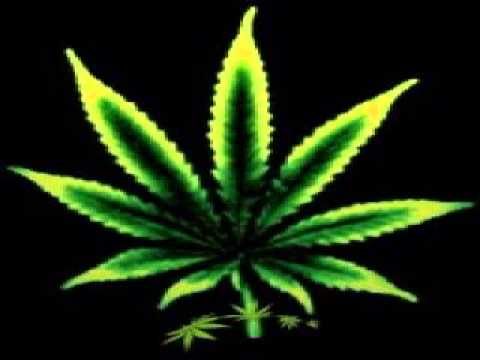 Samy try for france shoutout for Slyx