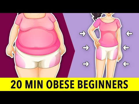 Simple 20 Minute Exercise for Obese Beginners at Home