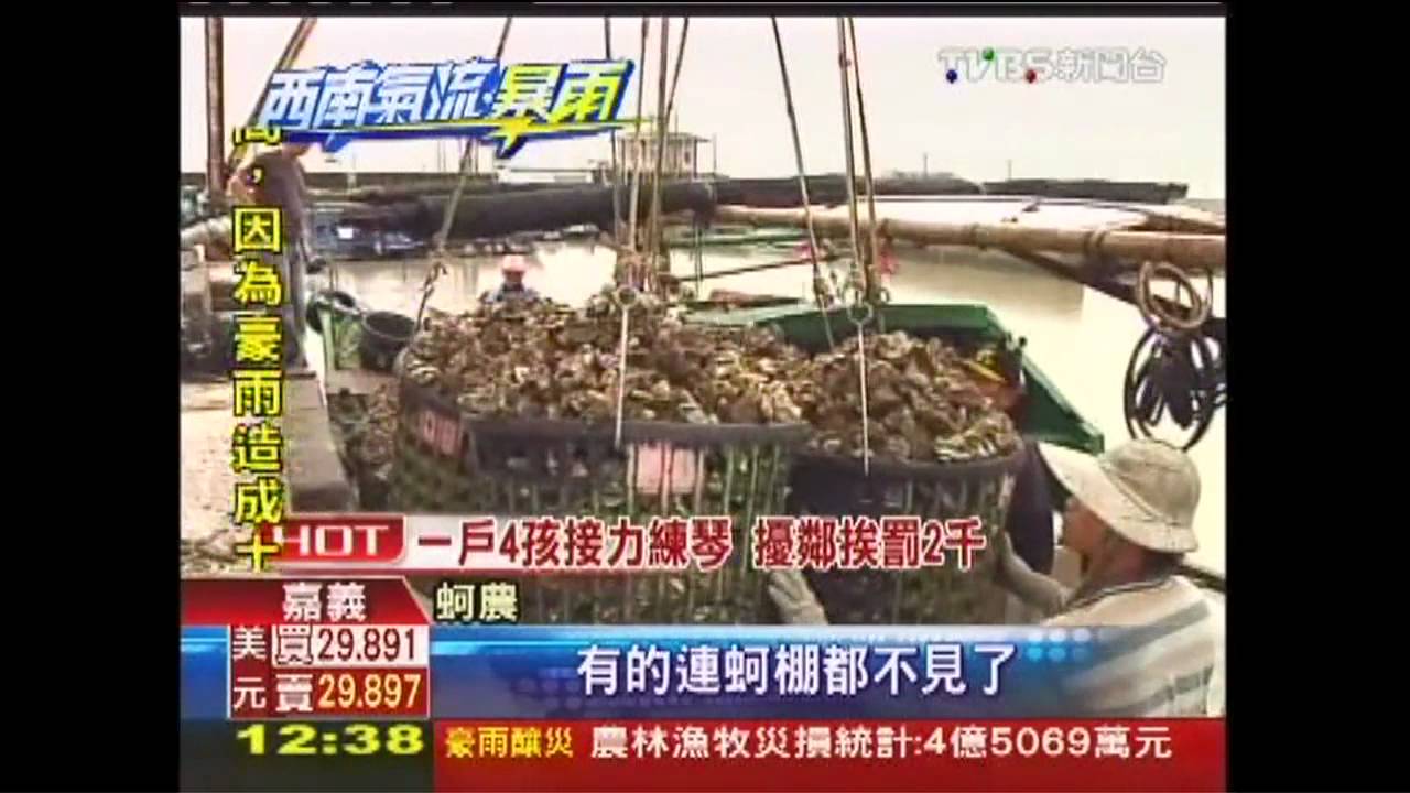 大浪捲走8成蚵架　產損逾8千萬