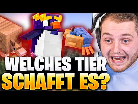 TryReact -  😱😍New ANIMAL in MINECRAFT!!  - WHICH WILL IT BE?  |  Trymacs Stream Highlights