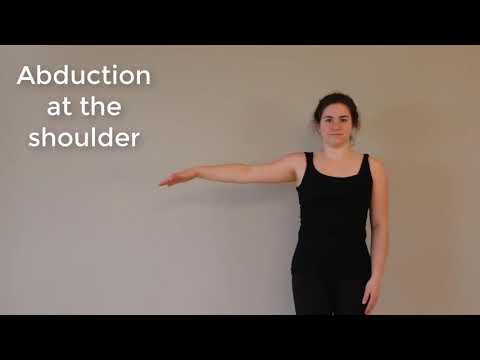 Muscle Actions: Deltoid