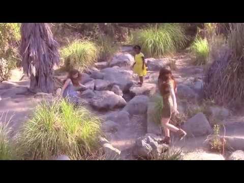 Ezra Vine - Celeste - Music Video