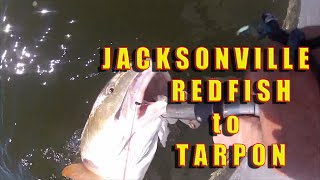 preview picture of video 'TARPON, REDFISH & MORE; Jacksonville Fishing , the Mayport Jetties'
