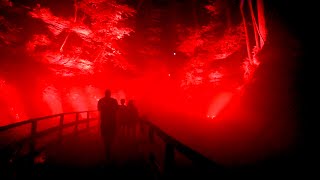 HAUNTED Ghost Boat Wisconsin Dells #haunted #scary #halloween #ghost #hauntedhouse