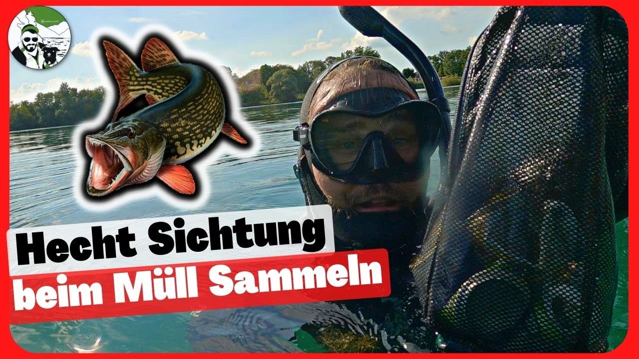 Schnorcheln im Badesee für einen guten Zweck || Hecht Sichtung beim Müll Sammeln