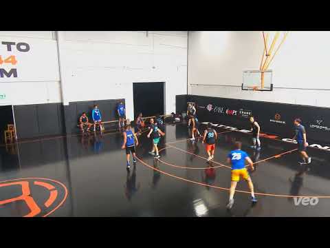 Beach Boys (43) tier 11 - 2023 SUMMER Jokers(33) - tcbl sunday