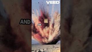 Whale Explodes on Oregon Coast! 🐋💥 #Whale #Explosion #EpicFails