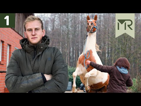 Mare and "foal" inseparable - PROBLEM HORSES Episode 1