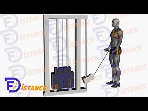 Exercice Curls à la poulie avec barre