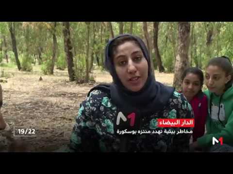 روبورتاج .. مخاطر بيئية تهدد المتنفس الغابوي بوسكورة