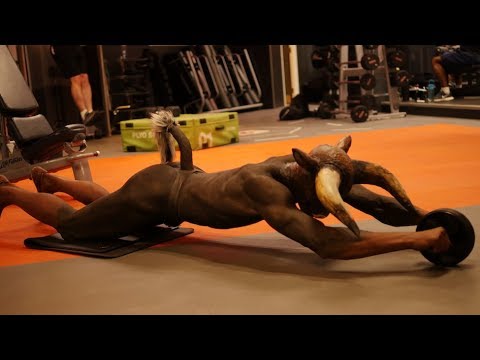 Minotaur in the gym