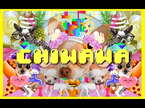 Just Dance 2016《舞力全開 2016》Chiwawa Official Music Video Anne Horel - Ubisoft SEA