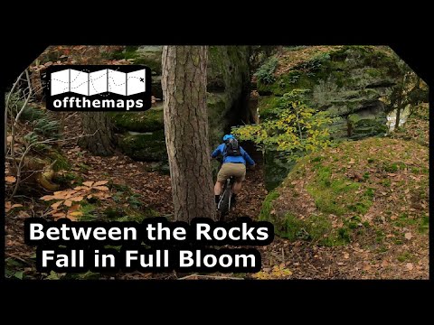 Mountain Biking in the Czech Republic | Kokořín - Rock City in Fall Color