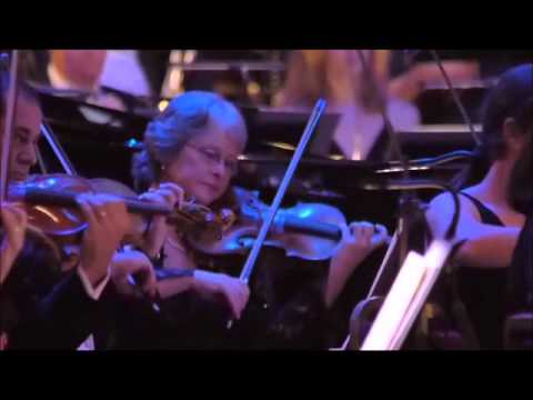 Not the Messiah   Freedom