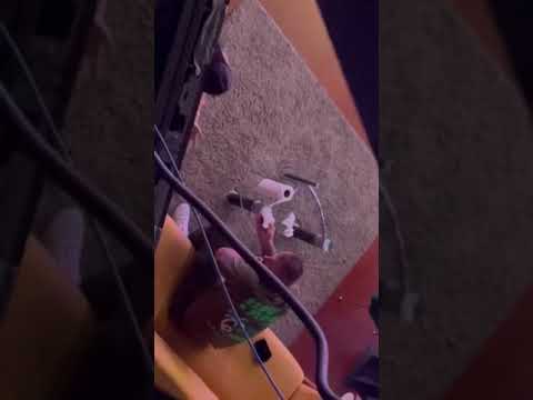 Maja plače za vreme reklama, Janjuš razgovara sa njom