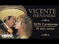 Vicente Fernández - Mi Único Camino (Cover Audio)